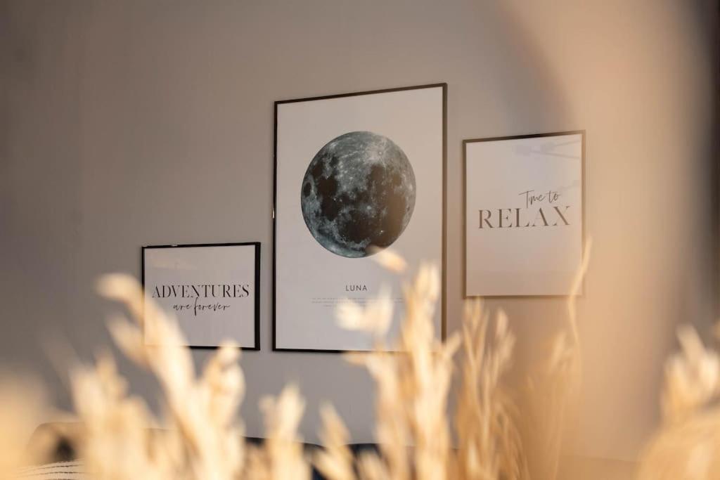 Blue Moon. Cozy Apartment Near Iulius Mall كلوج-نابوكا المظهر الخارجي الصورة