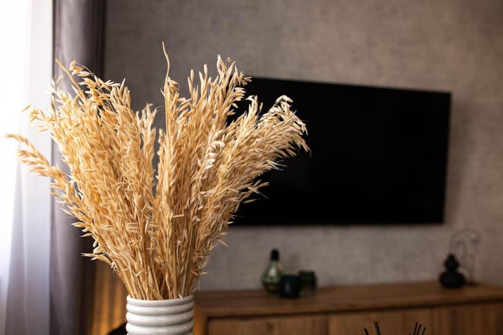 Blue Moon. Cozy Apartment Near Iulius Mall كلوج-نابوكا المظهر الخارجي الصورة