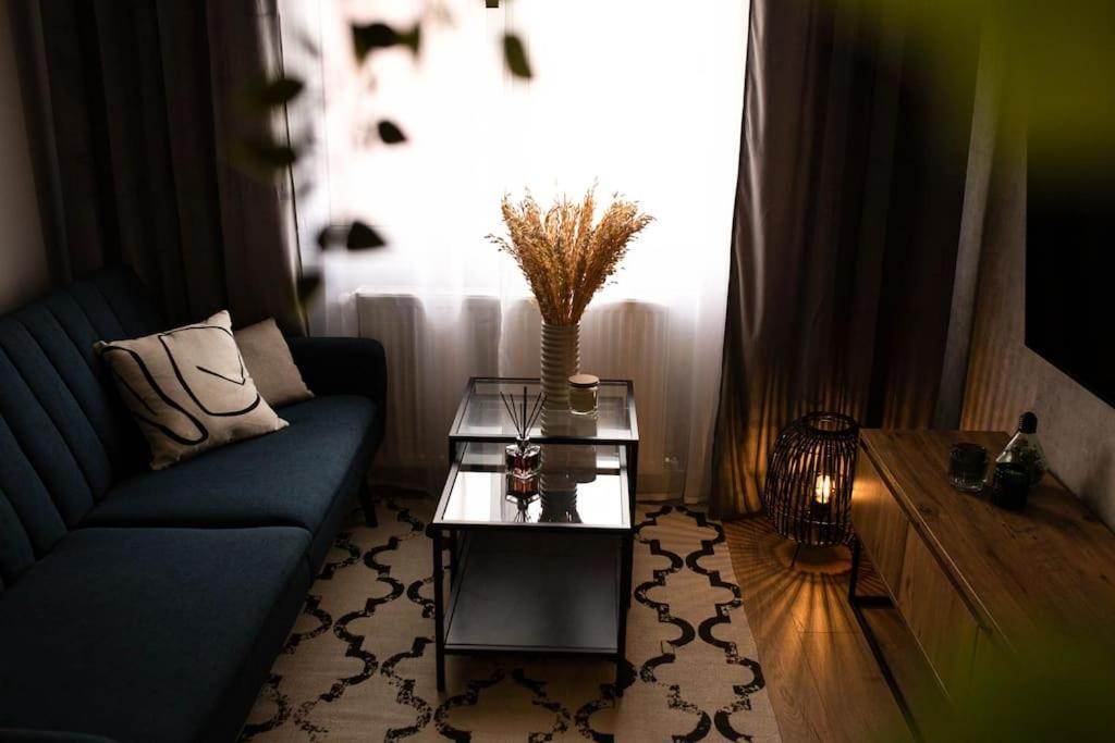 Blue Moon. Cozy Apartment Near Iulius Mall كلوج-نابوكا المظهر الخارجي الصورة